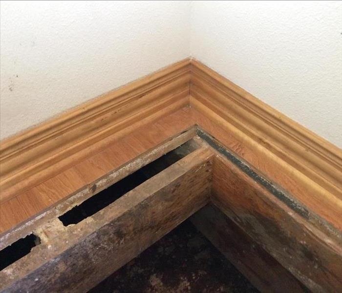 Mold growth on wood beams under floor