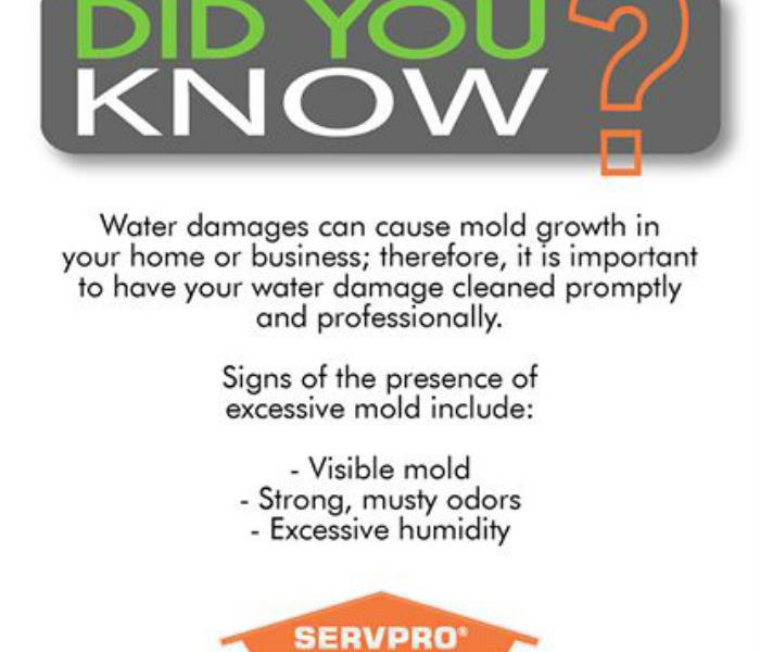 Did you know Mold Facts photo